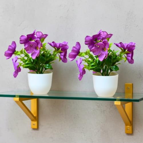 Image of fancymart Artificial Real Touch Flower Plant with Pot (Pack of 2), 16 cm Height, Decorative Faux Floral Plant for Home, Office, Living Room, Bedroom, Table & Shelf Decor