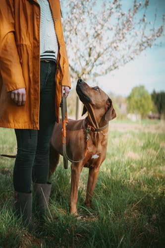 HUNTER Hundehalsband WOLMAR aus BioThane® und Leder, robust, wasserabweisend, pflegeleicht, Kontrastnaht, Made in Germany, Farbe: Khaki/orange, Größe: 55