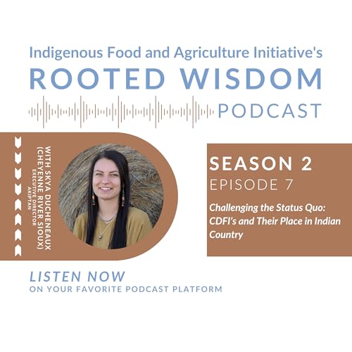S2E7: Challenging the Status Quo: CDFI's and their Place in Indian Country