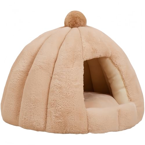 LnEX Lpxbh h[^ g[ GARK xbh}bg ybgnEX ybgxbh  K _炩  g pQ 薰 ~ ۉh ybgpi (J[L, 56CM*48CM)