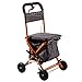 Z-SEAT Carrello della Spesa Pieghevole Carrello per Anziani Portatile per la casa Il Carrello per Arrampicata su Scale può Essere spinto e Seduto per Il Tempo Libero