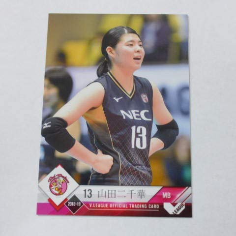 2018/19 V.[Oqo[M[J[h127NEC-13/Rc/NECbhPbc VEv~A[Oqo[