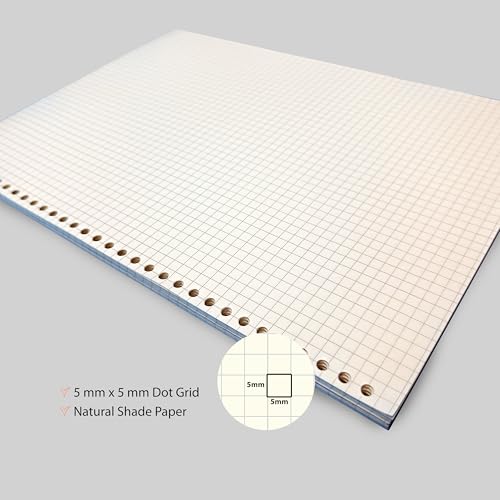 Image of PaperO A5 Punched Loose Leaf Square Grid Sheet /Grid Paper | 80 GSM | 100 Sheets | A5 (21 x 14.5 cm) | Ideal for Artists & Designers | Suitable for Spiral Binding