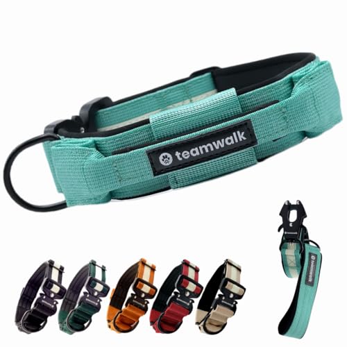 teamwalk® Premium Hundehalsband - mit Magnetgriff, Leuchtstreifen, Air-Tag Tasche, individuell einstellbar, weiche Polsterung, robuste Schnalle, mit passender Leine erhältlich, JETZT NOCH Leichter(M) teamwalk® Premium Hundehalsband - mit Magnetgriff, Leuchtstreifen, Air-Tag Tasche, individuell einstellbar, weiche Polsterung, robuste Schnalle, mit passender Leine erhältlich, JETZT NOCH Leichter(M)