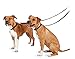 PetSafe Nylon Dog Leash – Strong, Durable, Traditional Style Leash with Easy to Use Bolt Snap – 3/8