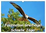 QUALITÄT - Hochwertiger Fotokalender mit 12 wunderschönen Motiven auf lichtbeständigem Bilderdruckpapier, robuste Spiralbindung mit Aufhängebügel.