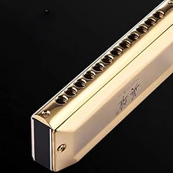 Harmonica Harmonica 12 et 16 orifices orgue C phosphore bronze anche instrument clé - Les Beatles, Paul McCartney, John Lennon, RIngo Starr, George Harrison Harmonica Harmonica 12 et 16 orifices orgue C phosphore bronze anche instrument clé – Image 3