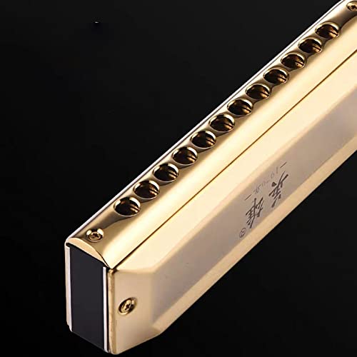 Harmonica Harmonica 12 et 16 orifices orgue C phosphore bronze anche instrument clé - Les Beatles, Paul McCartney, John Lennon, RIngo Starr, George Harrison Harmonica Harmonica 12 et 16 orifices orgue C phosphore bronze anche instrument clé – Image 4