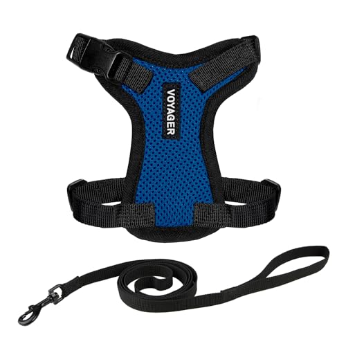 Image of Voyager Escape-Proof Step-In Lock Cat Harness & 5ft Neoprene-Handle Leash Set All-Weather Mesh with Reflective Stitching For Small to Large Cats by Best Pet Supplies, Royal Blue /Black Trim, S