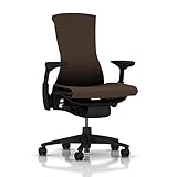 Herman Miller Embody Ergonomic Office Chair | Fully Adjustable Arms and Carpet Casters | Mink Rhythm