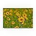 Trademark Fine Art Cora Niele Sunflower Field, 12x19-Inch