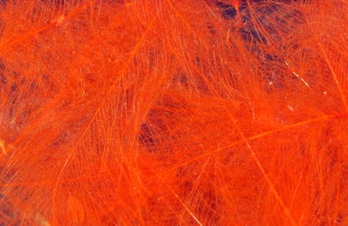 Hareline Fly Tying Cul de Canard (CDC) - Natural CDC Feathers for Fly Tying Dry Flies, Emergers & Comparaduns