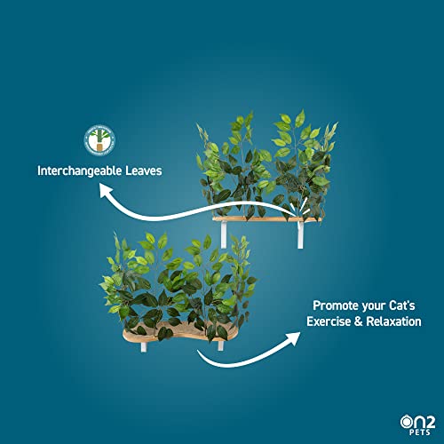 On2Pets Cat Shelves Wall-Mounted Cat Trees Cat Furniture For Climbing, Playing And Relaxing, Set Of 2, Indoor Cat Shelf Made In Usa… (Zen Green, Curved) #TOP6