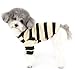 Ranphy Small Dog Knit Clothes Striped Puppy Outfit Shirt Doggy Thin Sweater Sweatshirt Soft Doggie Pullover Tank Top Two Short Sleeve Pet Apparel Black S