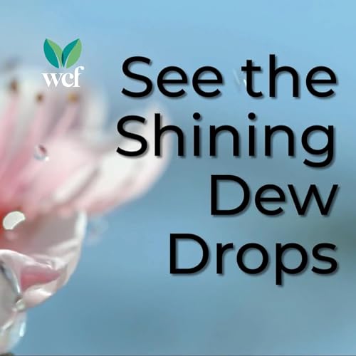 See the Shining Dew Drops (Video)
