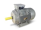 motor 15 kw 160 l Mount: B3 50/60Hz 380-400VD / 660-690VY