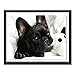 Produktbild HUA5D 5D Diamond Painting Bilder Full Drill Groß 30X40Cm Schwarze Französische Bulldogge Hund Diamant Stickerei Diamant Paste Muster Perlen