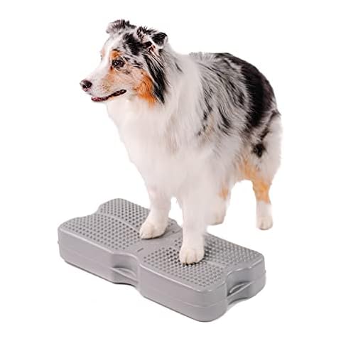Blue-9 Propel Air Platform Kit, Professionally Designed Dog Training Accessories and Pet Products, Gray Cover