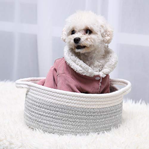 Image of ABenkle Small Basket with Handles, Boho Decorative Rope Woven Dog Cat Toy Storage Bin Shelf Storage Organizer, Easter Christmas Gift Basket, 12 inchx8 inchx5 inch