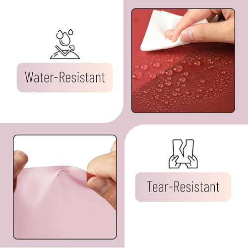 image for Mr. Pen- Translucent Plastic Folders with Pockets and Prongs, 5 Pack, 