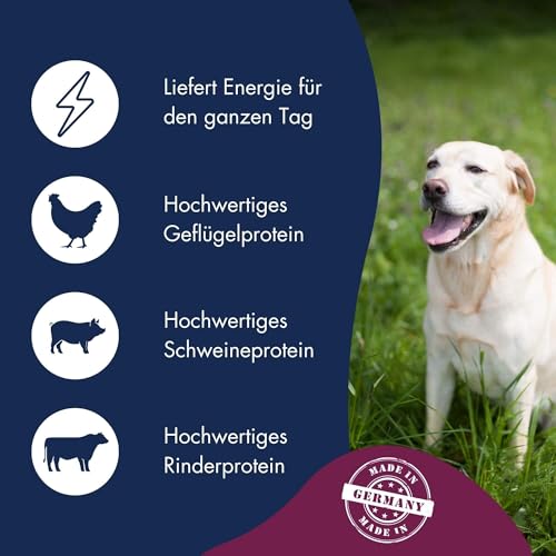 DR.CLAUDER’S - Basic Nature Marathon/HGA | Trockenfutter für Hunde mit erhöhtem Energiebedarf zur Unterstützung der Vitalität durch Proteine und Ballaststoffe. Alleinfuttermittel im Beutel | 20kg