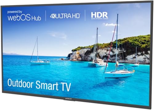 Image of Neptune NT654 65-Inch Partial Full Sun Outdoor 4K HDR Smart TV with Tilting Wall Mount, 16:9 Aspect Ratio, 3840x2160 Resolution, 800cd /m2 Brightness, 178 Vertical /Horizontal Viewing Angle