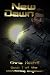 New Dawn (The Wandering Engineer Book 1)