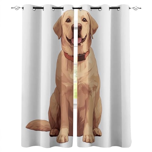 Acondicionador Perros Natural Marca Generisch