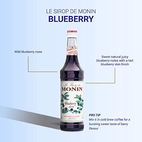 Xarope Mirtilo Monin 700Ml