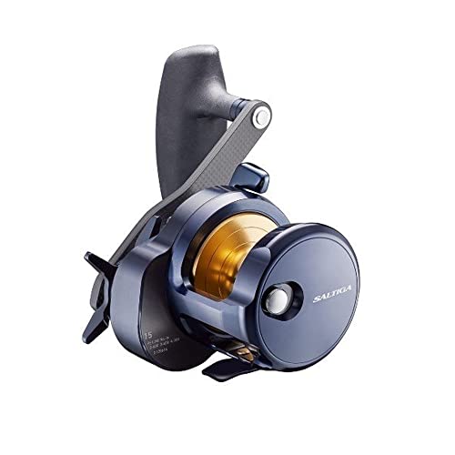 DAIWA 22ソルティガ 15H Daiwa 15H-SJ 22 Saltiga Bait Reel (2022 Model) : Amazon.ca: Sports
