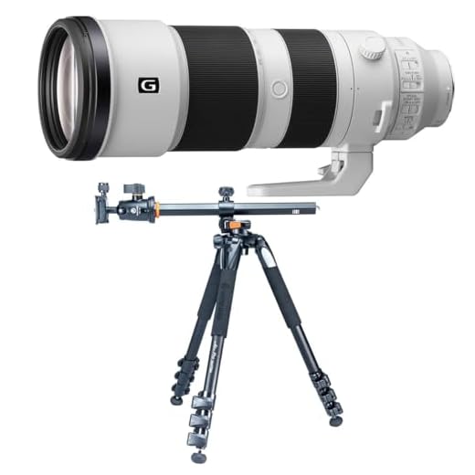Sony 200-600mm G Lens with Tripod Bundle