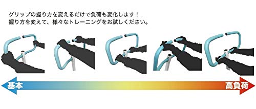 Amazon | STYLISH JAPAN 公式 スクワット 乗馬バイク メーカー保証