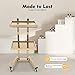 Multifunctional 2-Tray Utility Cart on Wheels, 2 Tier Salon Rolling Cart, Foldable Medical Trolley, Stainless Steel Mobile Storage Tray Cart for Dental Tools Cavitation Machine Salon Supplies (Gold)