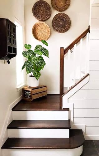 Briful 55CM Kunstpflanze Anthurium Crystallinum Künstliche Pflanzen Wie Echt Dekopflanzen Zimmerpflanze im Keramiktopf für Home Resto Bad Dekoration – Bild 5