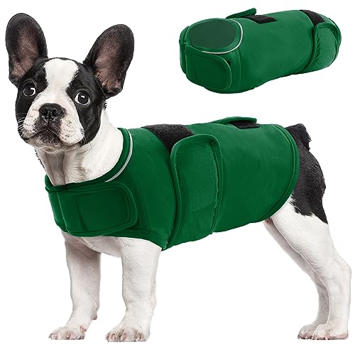 Top 10 Best Anxiety Jacket For Dogs Reviews & Buying Guide Katynel