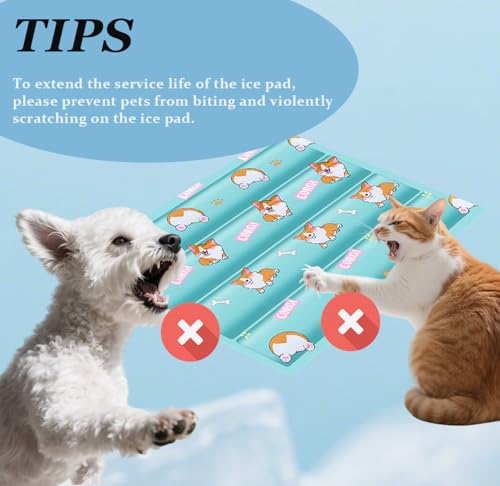 Tapete refrescante para cães e gatos, oferece alívio instantâneo para cães pequenos, médios e grande