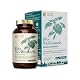 Bio-Weihrauchkapseln von Nature Basics mit 500 mg Boswellia Serrata
