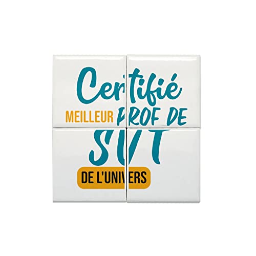 Carreaux Céramique Décoratif grand format 40x40cm - Thème Prof de SVT Collège