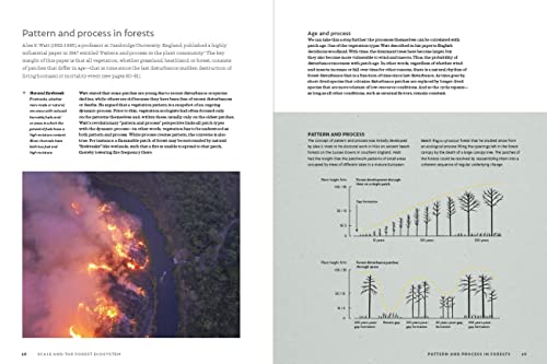 The World Atlas Of Trees And Forests: Exploring Earth's Forest Ecosystems #TOP4