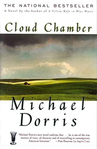 Cloud Chamber: A Novel view 2