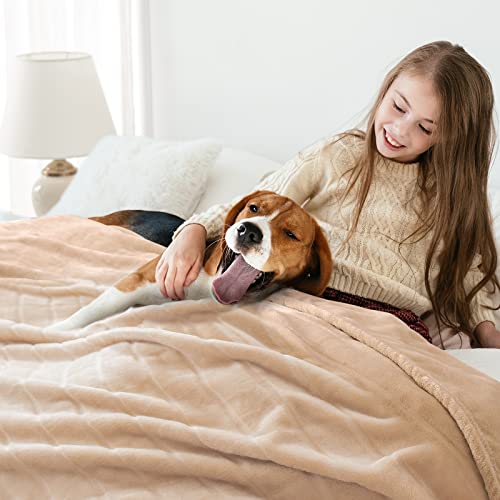 Bertte Plush Throw Blanket Super Soft Fuzzy Warm Blanket | 330 Gsm Lightweight Fluffy Cozy Luxury Decorative Stripe Blanket For Bed Couch - 50"X 60", Light Beige #TOP5