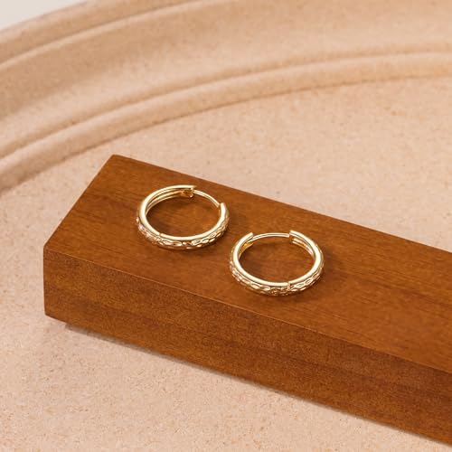 Gold Hoop Earrings for Women 14K Gold Earrings for Women Trendy Spiritual and Sparkling Fish Scale Print Small Hoop Earring for Womens4