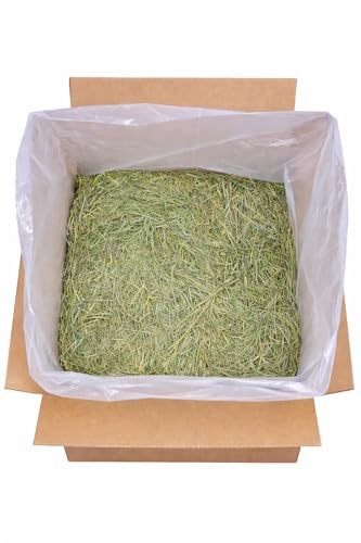 Mezcla de Heno Timothy y Alfalfa para Pequeños Animales 12 lb miniatura 2