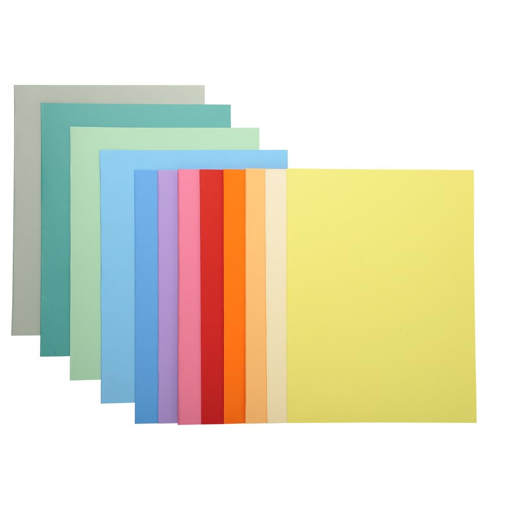 Exacompta 330000E - Lote de 100 Subcarpetas Super 250, Multicolor, 24 x 32 cm