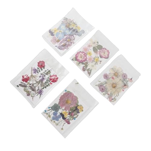 Flores Secas Variadas 5 Bolsas de Flores Prensadas Coloridas miniatura 2