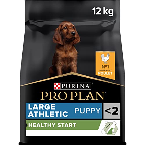 PURINA PRO PLAN | Healthy Start | Croquettes pour Chiot Athlétique de grande taille | Soutient une Croissance Saine et le Développement des Articulations | Riche en...