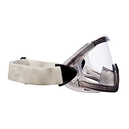 3M 2890 Occhiali di Sicurezza Trasparenti