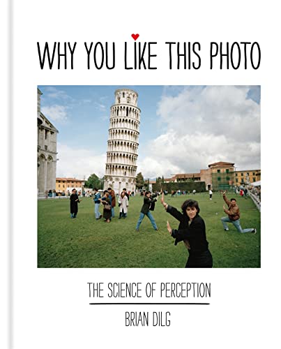 Cover of Why You Like This Photo: The science of perception