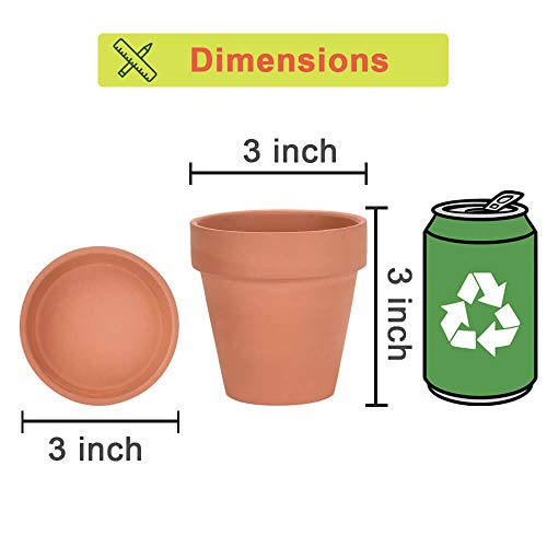 Vensovo Terracotta Pots With Saucer thumb #4