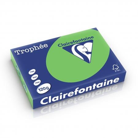 Clairefontaine 1293C - Karton mit 5 Ries à 250 Blatt Druckerpapier / Kopierpapier Trophée, DIN A4 (21x29,7 cm), 120g, Minze intensive Farbe, 1 Karton